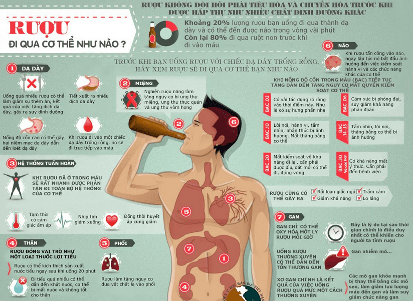 Tác hại của rượu bia đối với cơ thể
