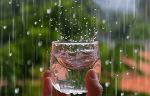 Nước mưa có uống trực tiếp được không?